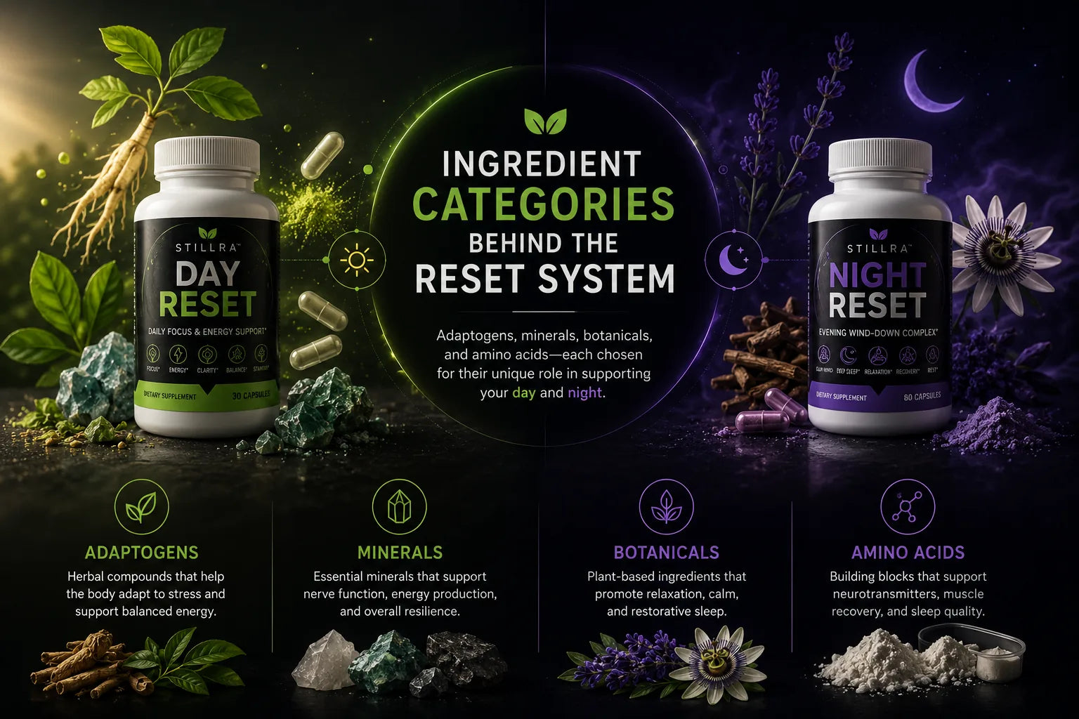 Ingredient categories behind the STILLRA Reset System blog article